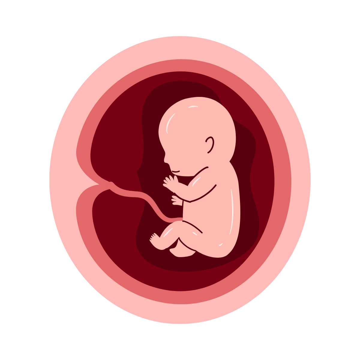Embryology Saturn Medic