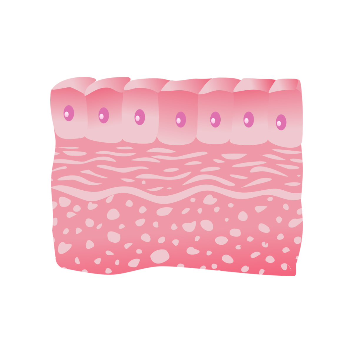 Histology Labs Saturn Medic