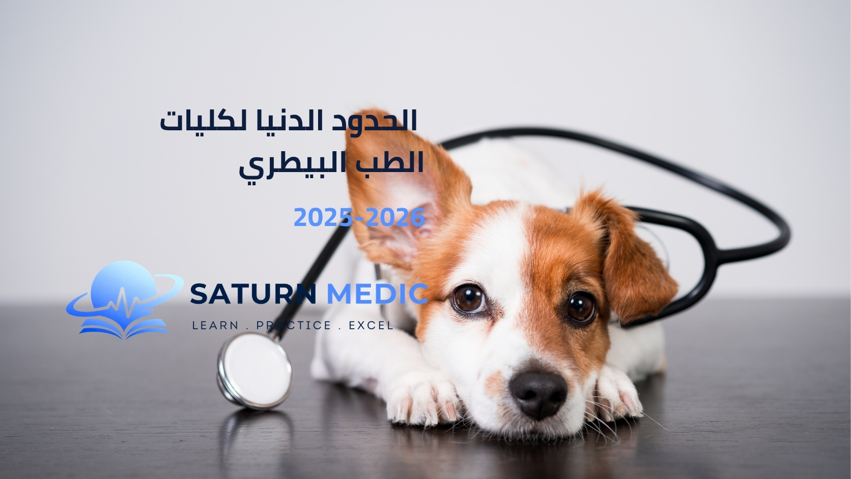 الحدود الدنيا لكليات الطب البيطري